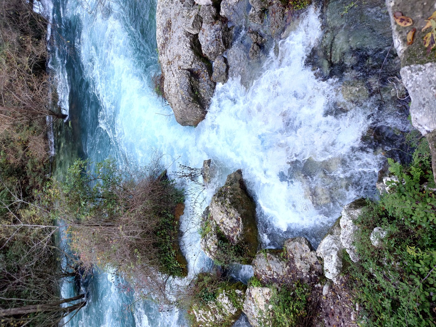 Illustration de l'article La Fontaine du Vaucluse