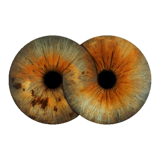 nos deux yeux mélangés (symbole infini)